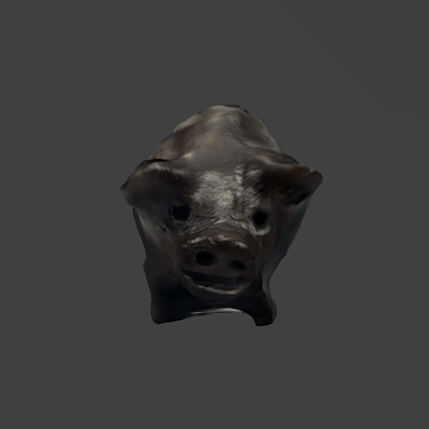 Scaniverse testing 13